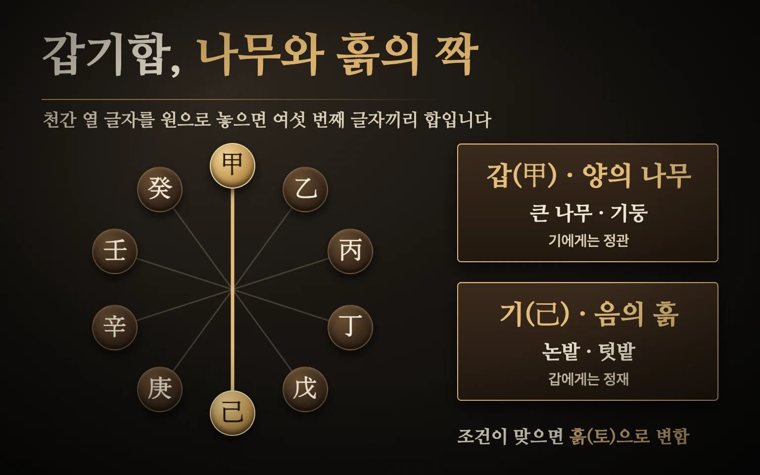 갑기합 관계 도식 — 천간 열 글자를 원으로 놓으면 여섯 번째 글자끼리 다섯 쌍이 합을 이루고, 양의 나무 갑과 음의 흙 기가 묶여 조건이 맞으면 토로 변한다고 봄
