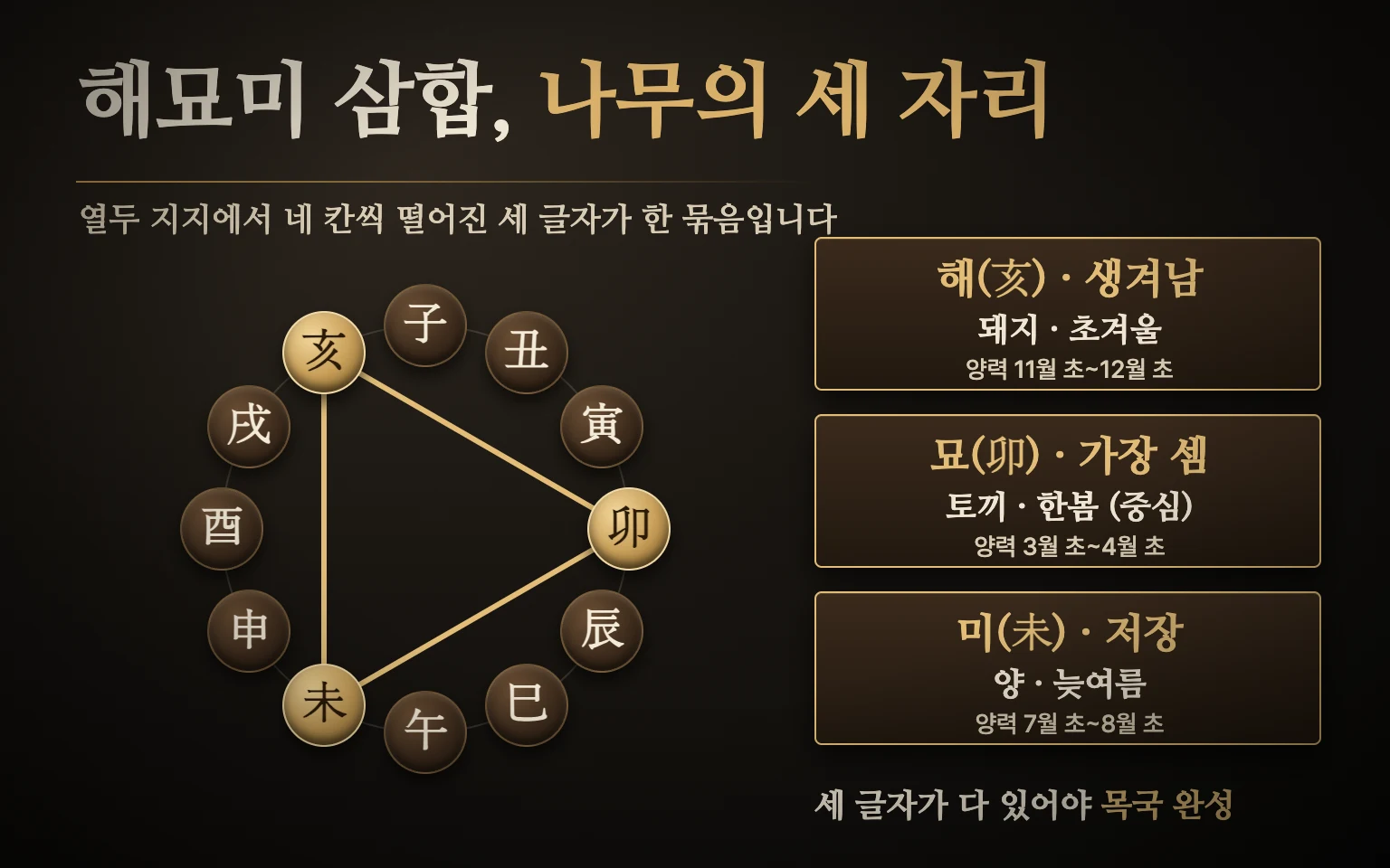 해묘미 삼합 도식 — 열두 지지를 원으로 놓으면 해(초겨울)·묘(한봄)·미(늦여름)가 네 칸씩 떨어진 삼각형을 이루고, 나무가 생겨나고 가장 세지고 저장되는 순서로 이어짐