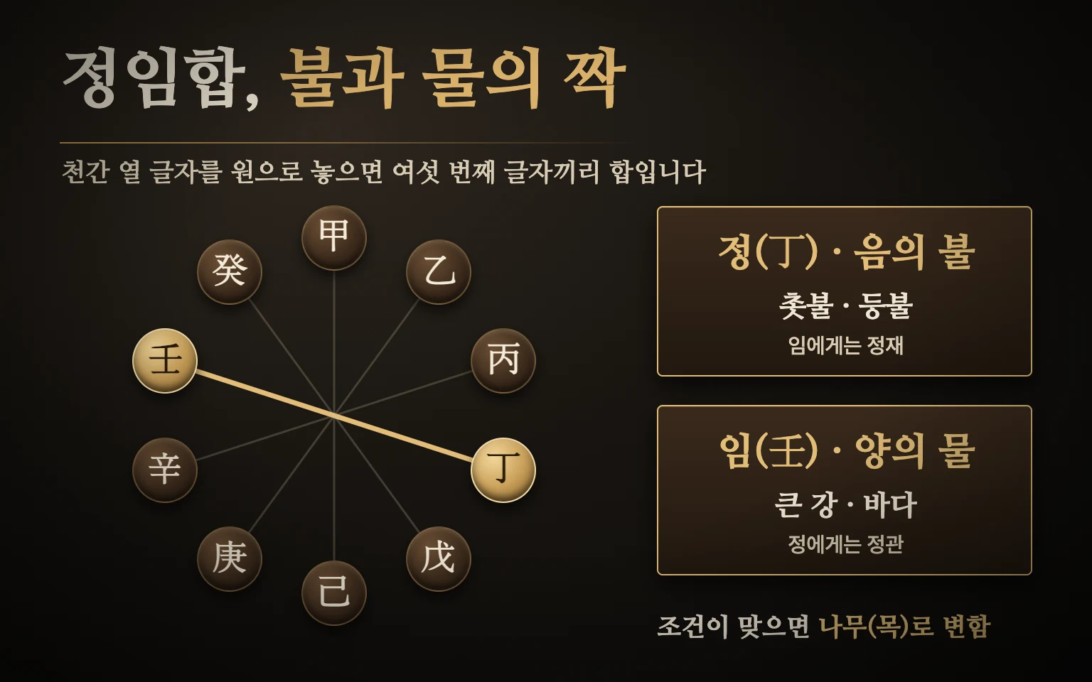 정임합 관계 도식 — 천간 열 글자를 원으로 놓으면 여섯 번째 글자끼리 다섯 쌍이 합을 이루고, 음의 불 정과 양의 물 임이 묶여 조건이 맞으면 목으로 변한다고 봄