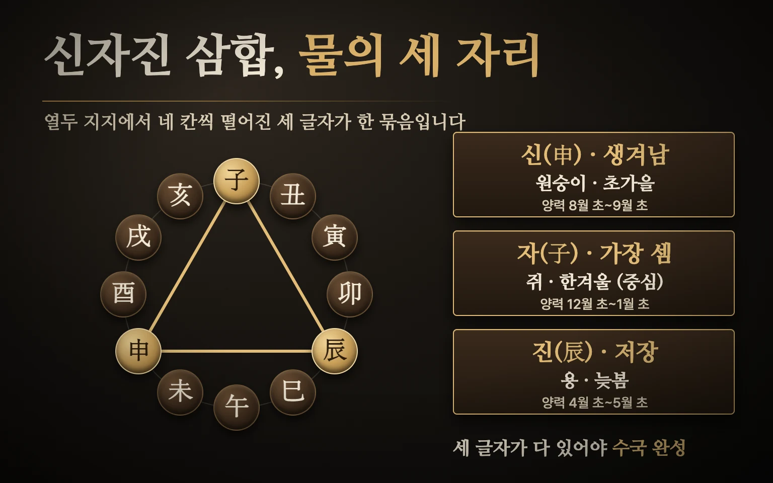 신자진 삼합 도식 — 열두 지지를 원으로 놓으면 신(초가을)·자(한겨울)·진(늦봄)이 네 칸씩 떨어진 삼각형을 이루고, 물이 생겨나고 가장 세지고 저장되는 순서로 이어짐